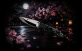 thumbnail:”夜桜” YOZAKURA Series